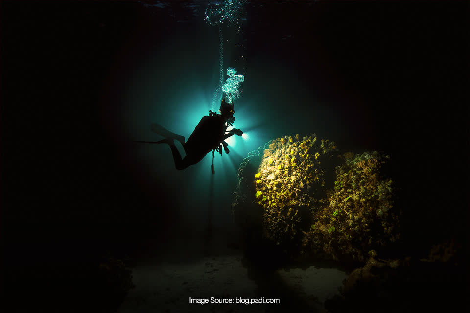 5 Lokasi Seru Buat Night Diving di Lautan Indonesia