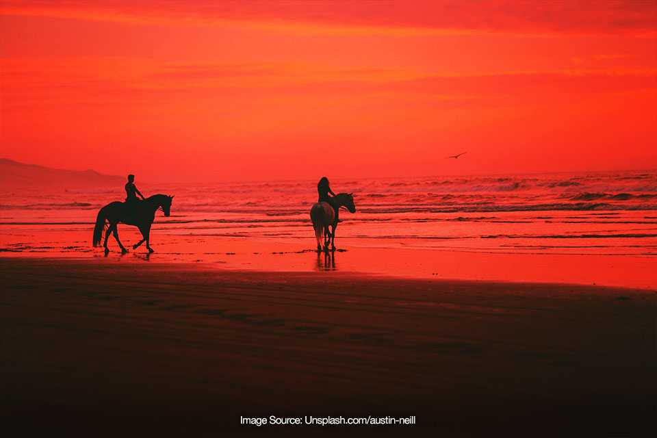 Destinasi Wisata Berkuda di Indonesia yang Wajib Lo Coba!